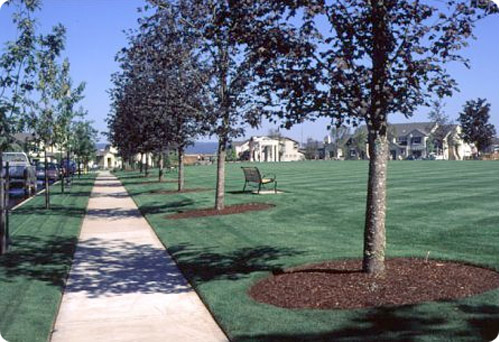 oregon turf our work display image, graas field and trees