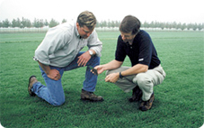 Oregon Turf workers analyzing turf